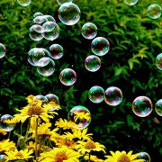 Des bulles pour cultiver sa joie